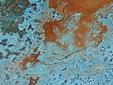 Azul Copper Veneer