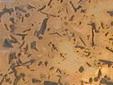 Bamboo Copper Veneer