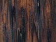 Enchantment Copper Veneer