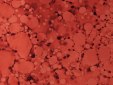 Red Wine Copper Veneer