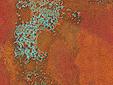 Rojo Copper Veneer