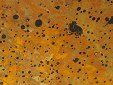 Sunburst Copper Veneer