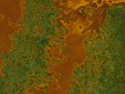 Verde Copper Veneer