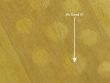 3 Hole Veneer Tape